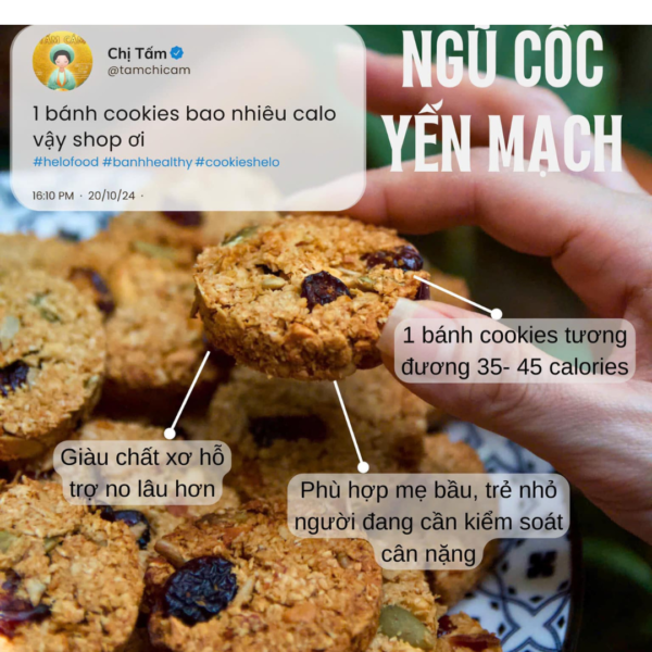 Bánh ngũ cốc yến mạch Helo Food – Đẹp Dáng, Giữ Dinh Dưỡng Mỗi Ngày (Hũ 500gr) - Hình ảnh 2